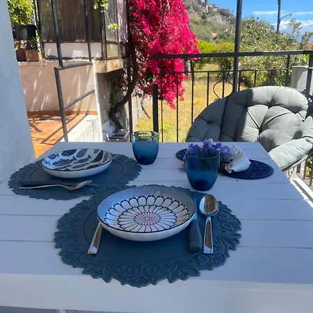 Miky's Bay * Forza dʼAgro