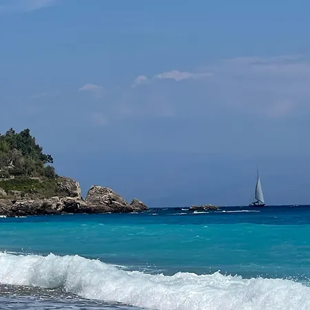 Miky's Bay * Forza dʼAgro